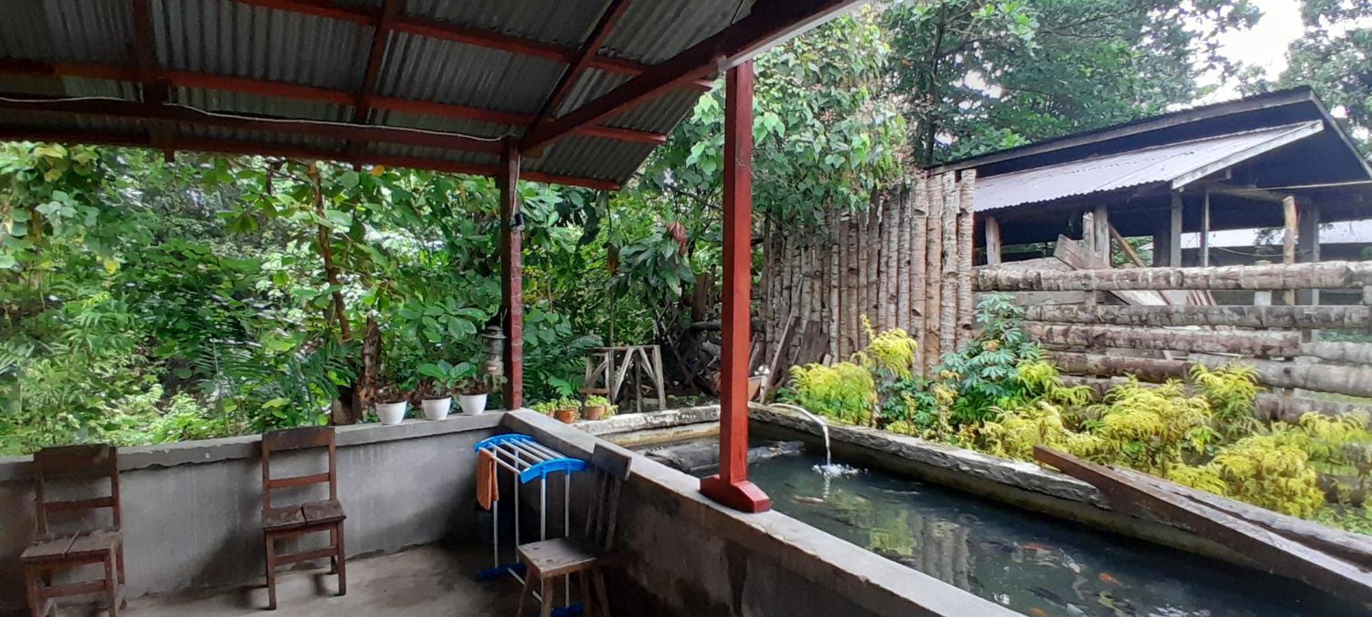 Renny'S Tangkoko Safety Stop Bitung Bagian luar foto